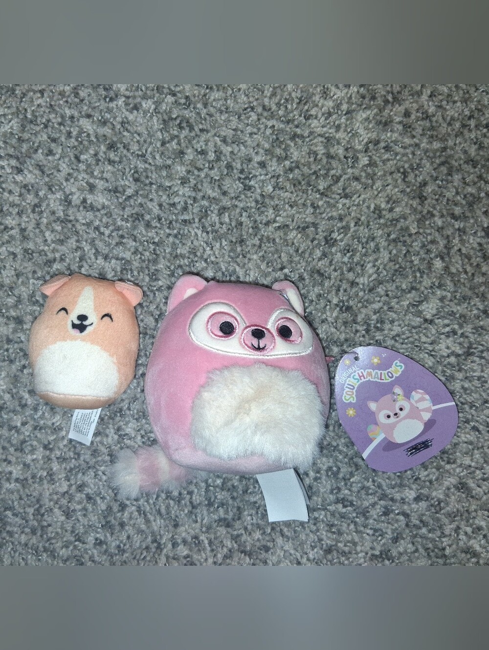 NWT! Mini Squishmallows, Set Of 2
